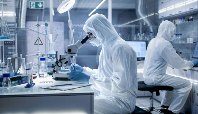 L'histoire au scalpel