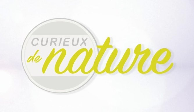 Curieux de Nature