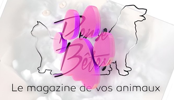 Pense-Bêtes