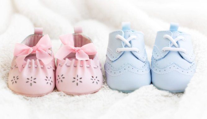 Gender Baby