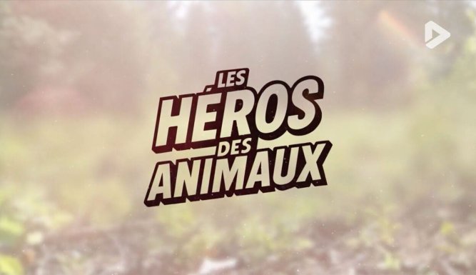Les héros des animaux