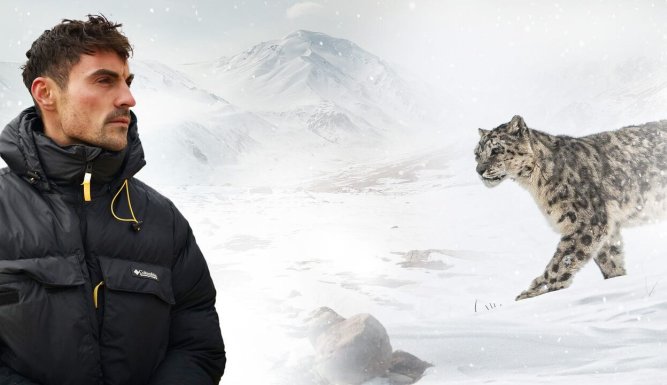 Dan O'Neill : mission panthères des neiges