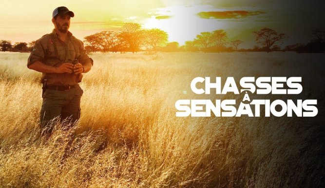 Chasses à sensations
