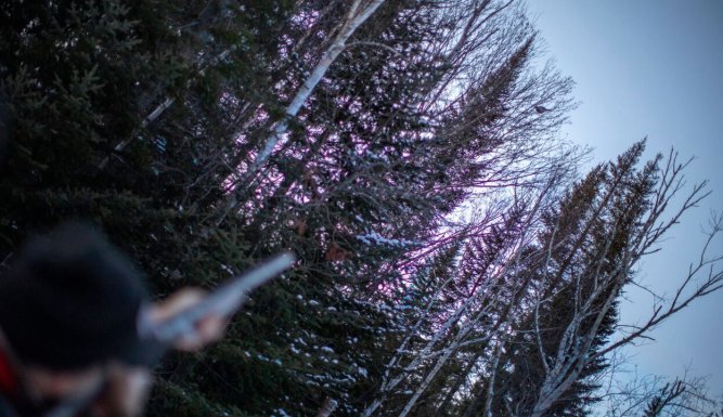 Québec à vol d'oiseau