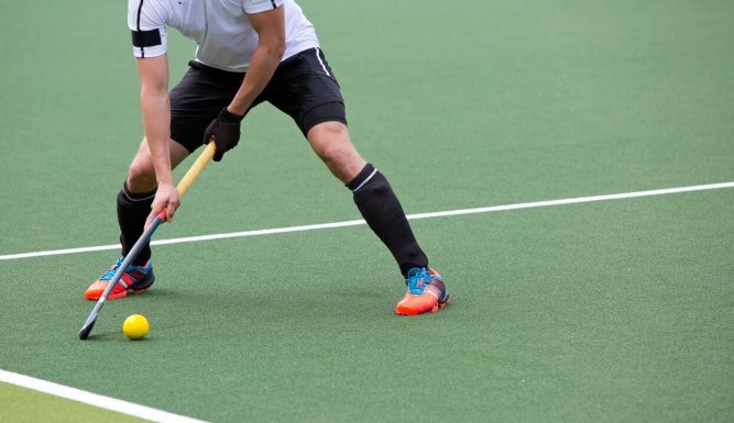 Hockey sur gazon : FIH Pro League (messieurs)