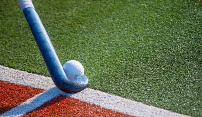 Hockey sur gazon : FIH Pro League (dames)