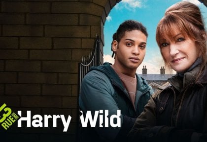 Série : Harry Wild