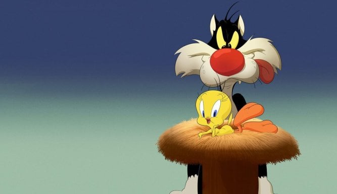 Looney Tunes Cartoons | Looney Tunes Cartoons (Battle of the Bunk / Pull the Carpet Out / Hot Air Buffoon)