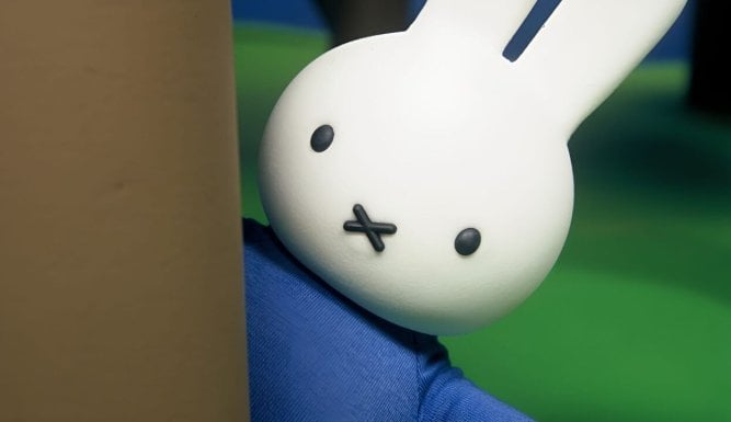 Nijntje en vriendjes | Nijntje en vriendjes (De Knuffelberen van Nijntje en Aagje)