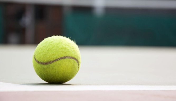Tennis : Roland-Garros