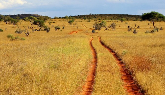 L'Afrik en conte