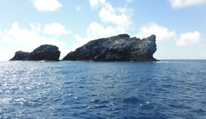 Destination Wild : Hawaï à l'état sauvage | Wild Hawai