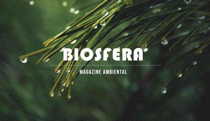 Biosfera