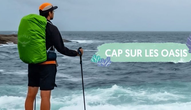 Cap sur les oasis