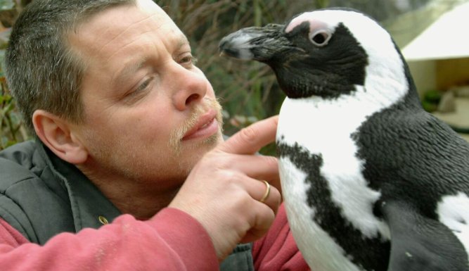 Pinguin, Löwe & Co.
