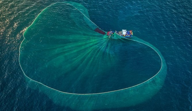 Au nom de la mer, vers une pêche durable