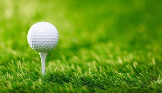 Golf : LETAS, Open de Terre Blanche