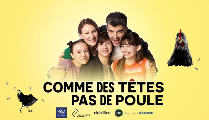 Comme des têtes pas de poule