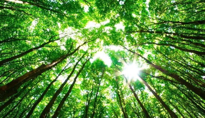 Trésors régionaux italiens : Les gardiens du sol