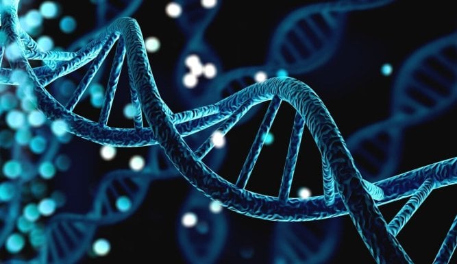 Le court du jour : femmes de science