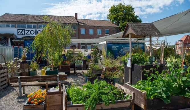 Garten & Lecker | Garten und lecker