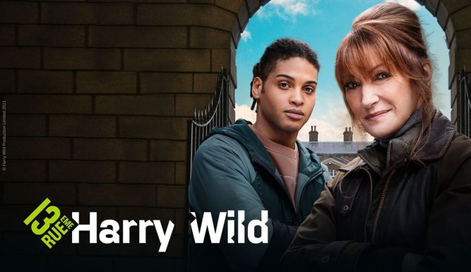 Harry Wild | Harry Wild (Too Many Harrys Spoil The Murder)