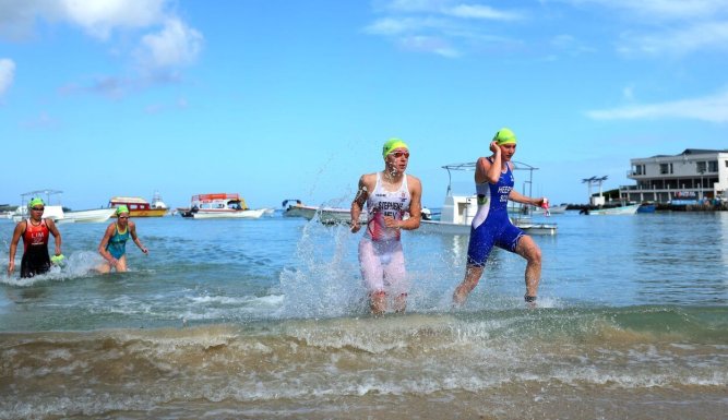 Triathlon : Singapour T100